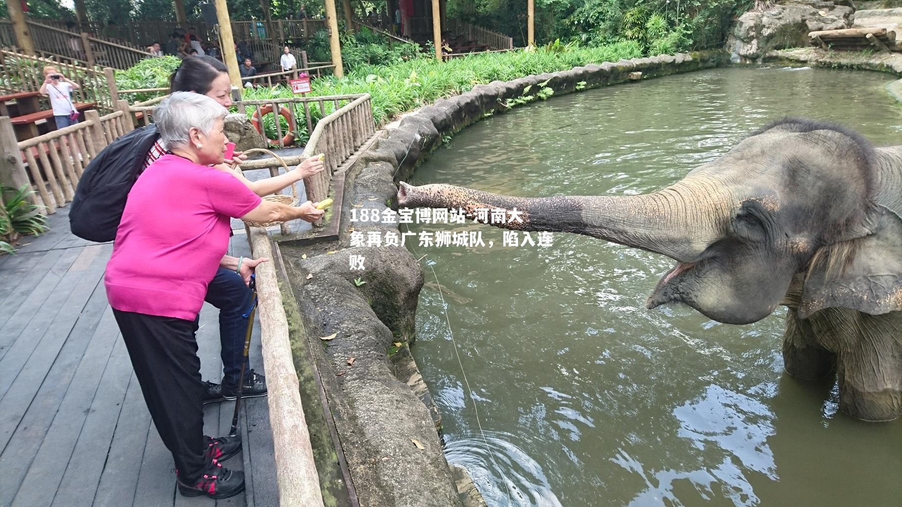 河南大象再负广东狮城队，陷入连败